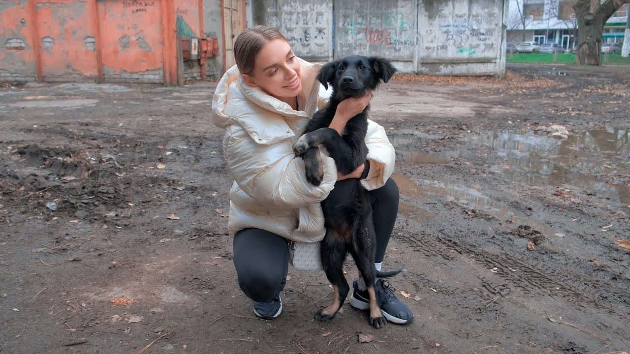 Homeless Puppy Grabbed My Arm… And Wouldn't Let Me Walk Away