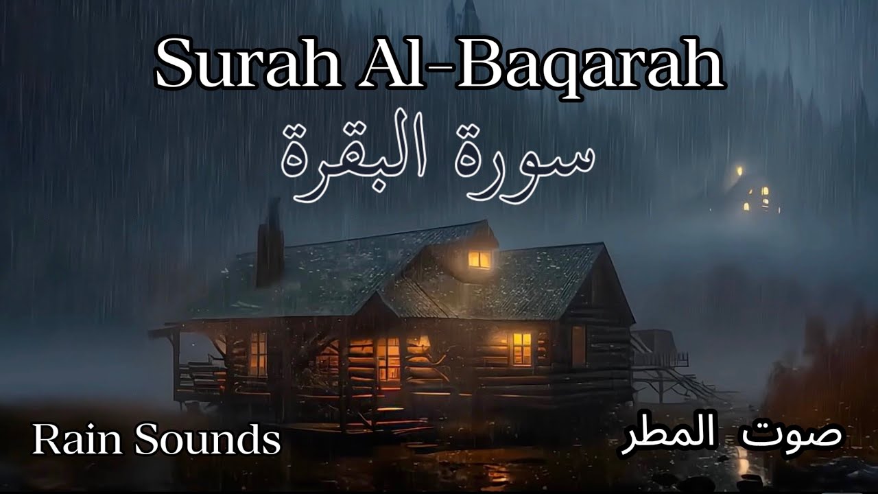 Surah Al-Baqarah with Rain Sheikh Mishary Rashed Elafasy for Relaxing, Sleep, Study NO ADS