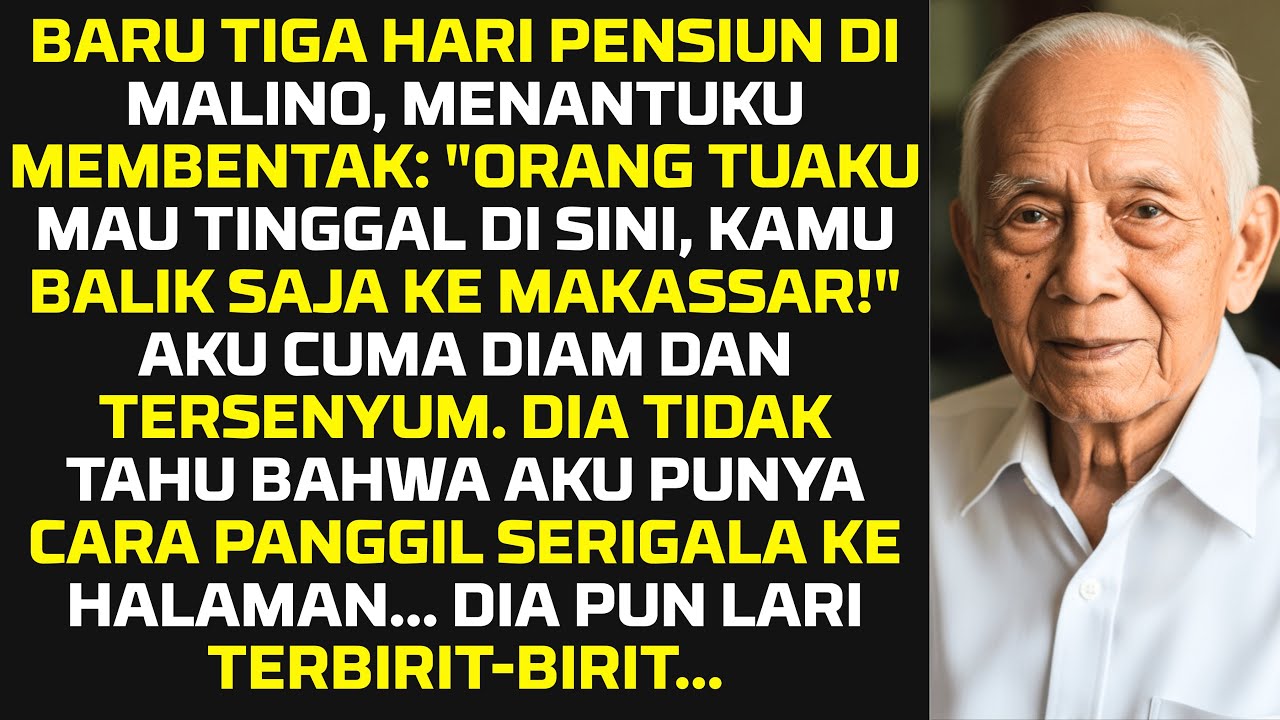 Menantuku Mau Pindahkan Orang Tuanya Ke Rumah Hutanku—Kusiapkan 