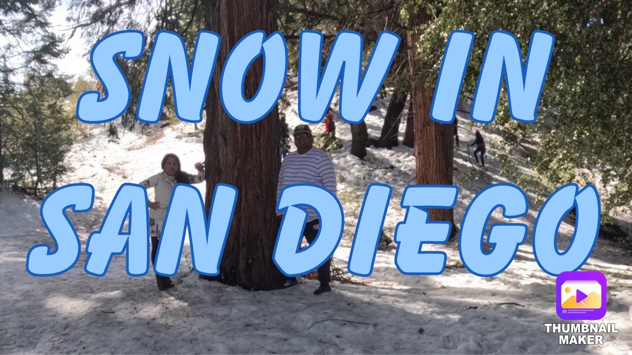 Palomar Mountain San Diego Snow