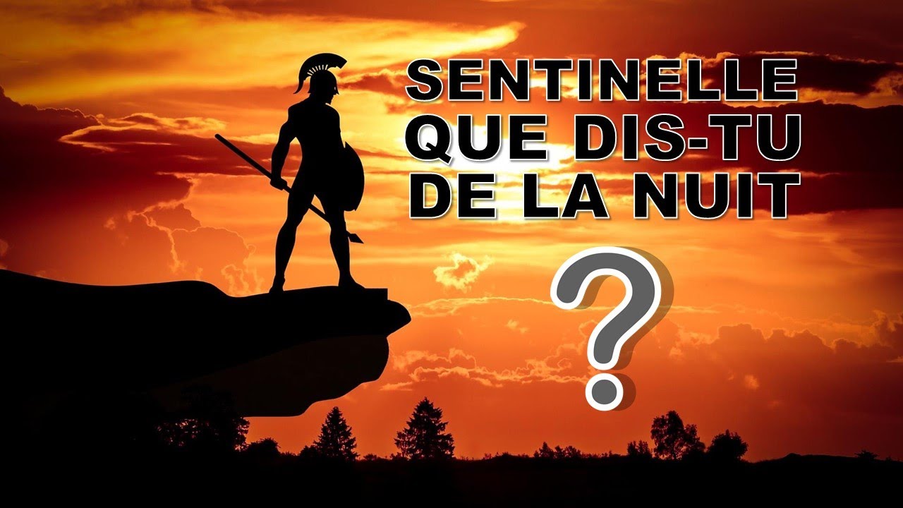 N°2 - Sentinelle que Dis tu de la Nuit