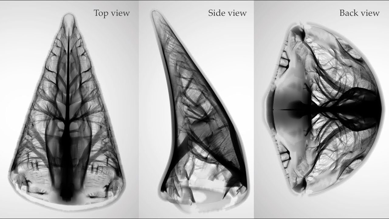 [SIGGRAPH Asia 2018]  Narrow-Band Topology Optimization on a Sparsely Populated Grid