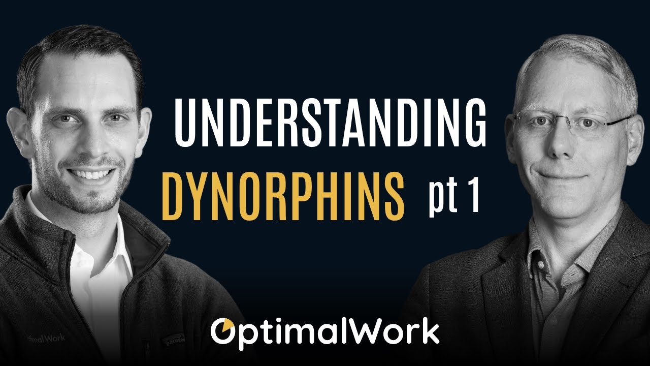 Understanding Dynorphins I: Exploring Unwillingness