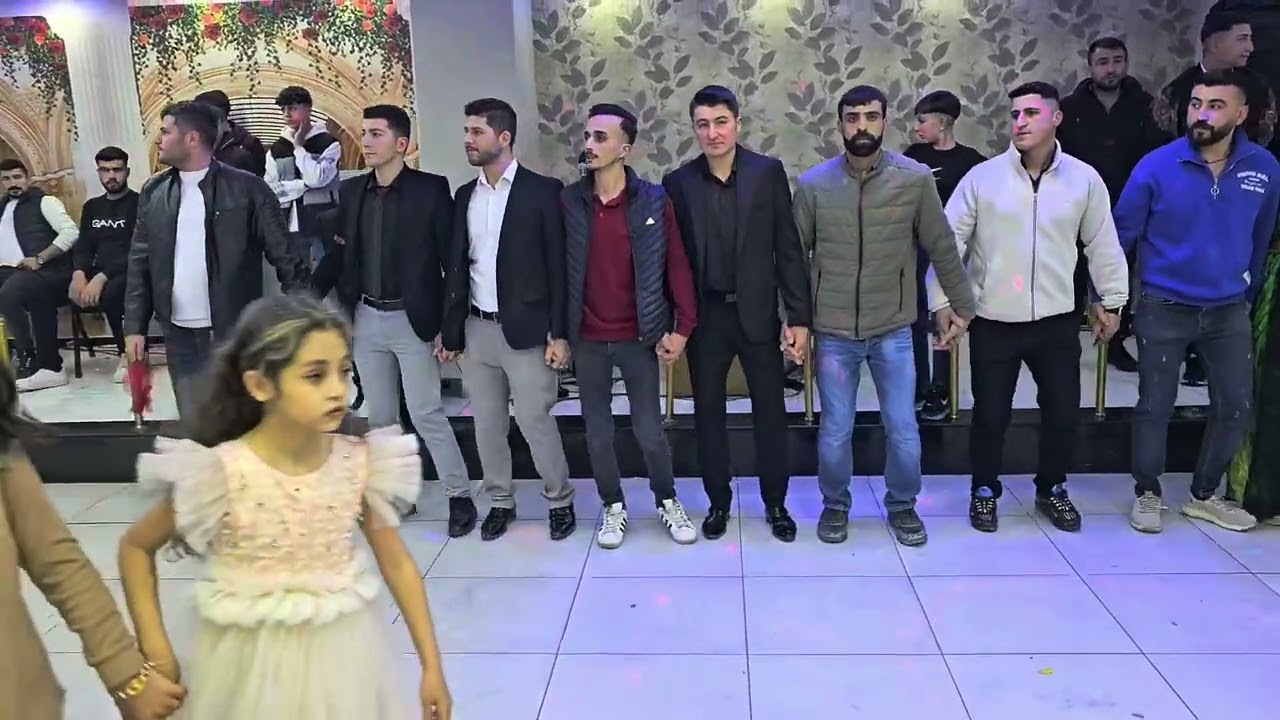 Şevko halay 2024 