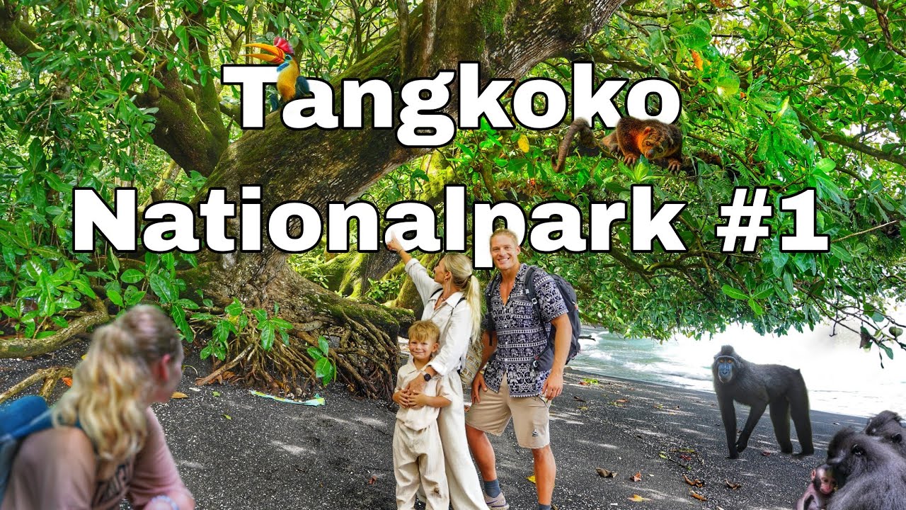 🌴 Tangkoko Nationalpark # 1 – Tiere, die es nur auf Sulawesi gibt! 🐵 🇮🇩 Indonesien | Tangkoko Vlog 2