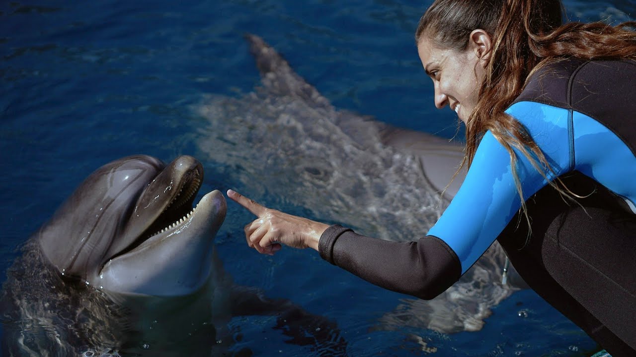 🐬 Visita exclusiva para conocer de cerca a nuestra familia de delfines