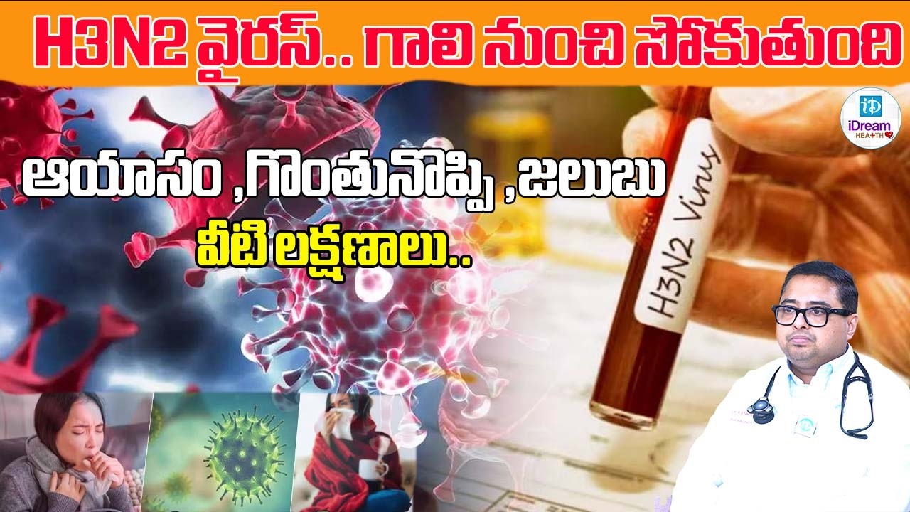 H3N2 వైరస్.. గాలి నుంచి సోకుతుంది  ఆయాసం ,గొంతునొప్పి ,జలుబు వీటి లక్షణాలు.. | iDream Health