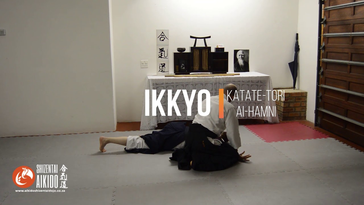 Shizentai Aikido online tutorials