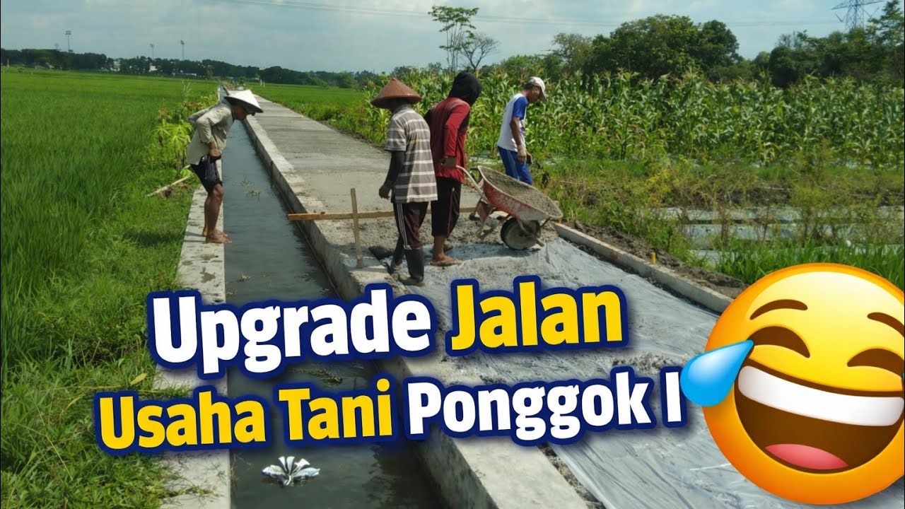 Petani Auto Senyum Jalan Usaha Tani Ponggok I Glow Up