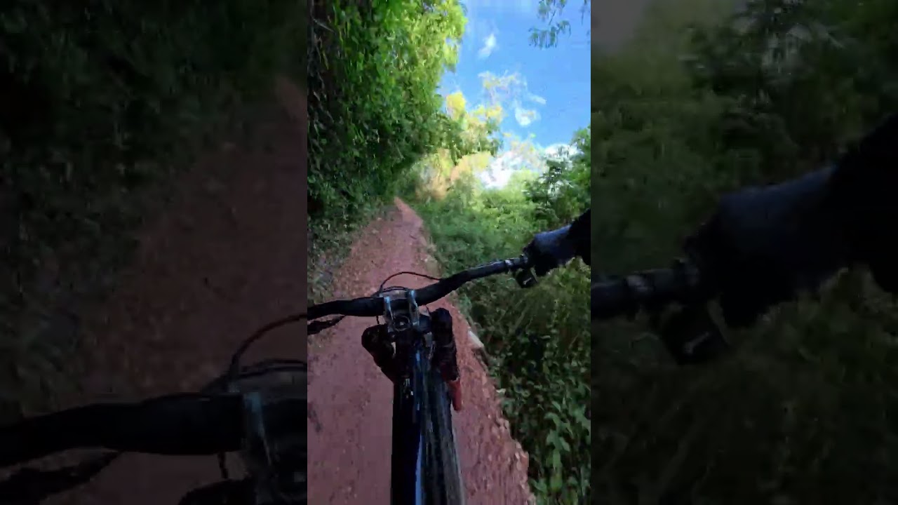 Bike Park: San Diego. Pista: DH 