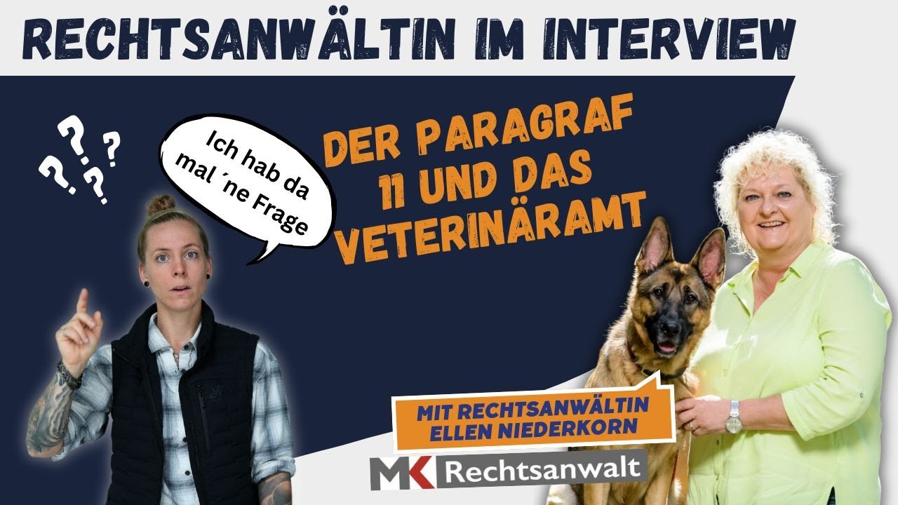 Hundetrainer Paragraf 11 - so läuft es beim Veterinäramt wirklich ab