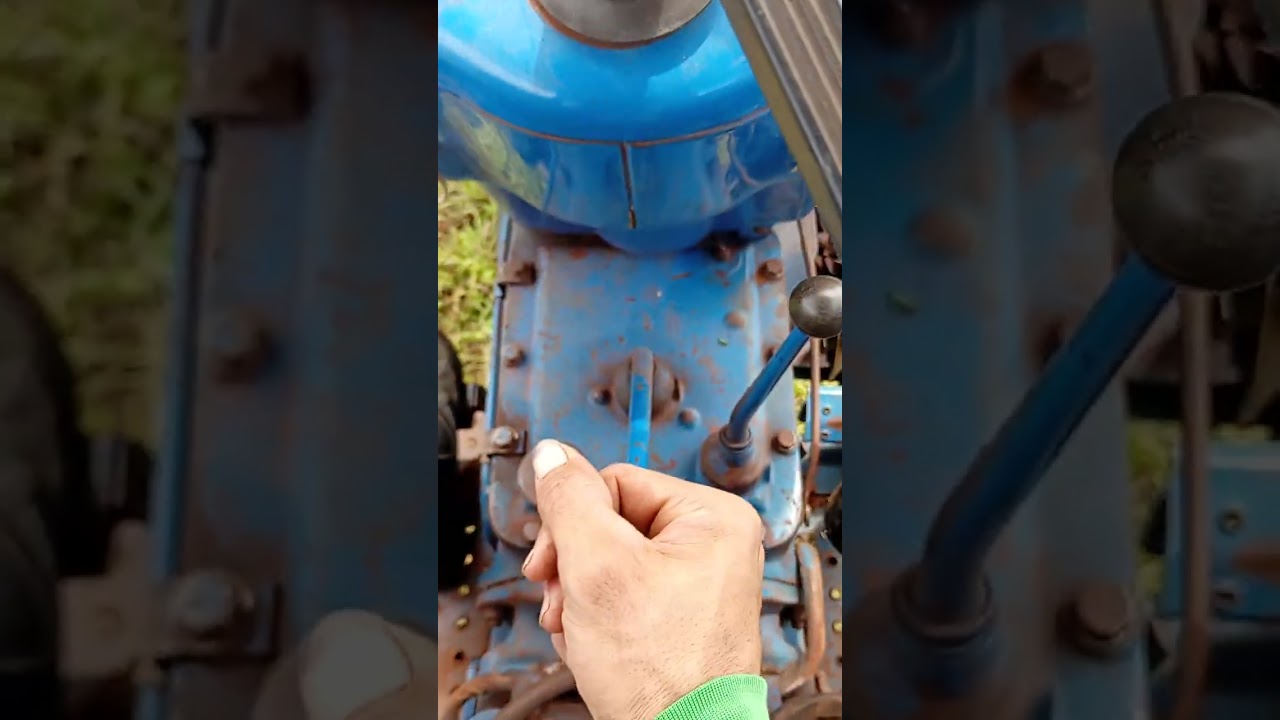 Fazendo a roçada do pulmão de abacate 