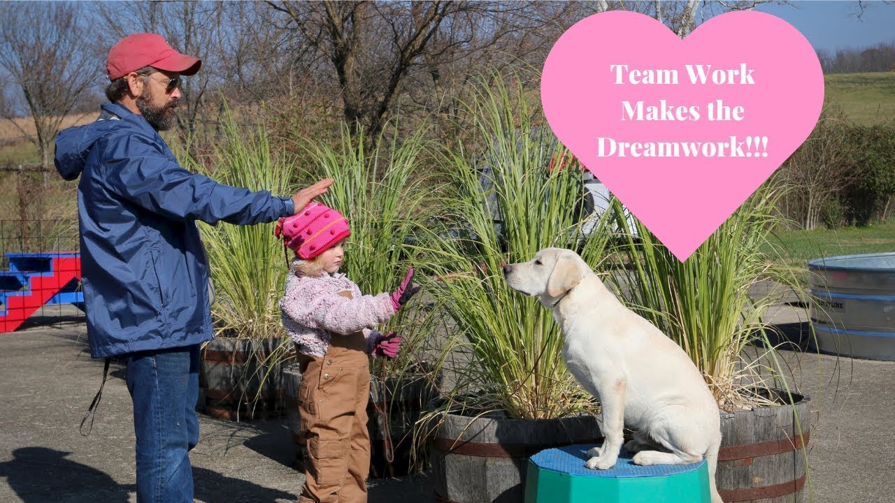 Teaching Children to Teach Puppies!!!