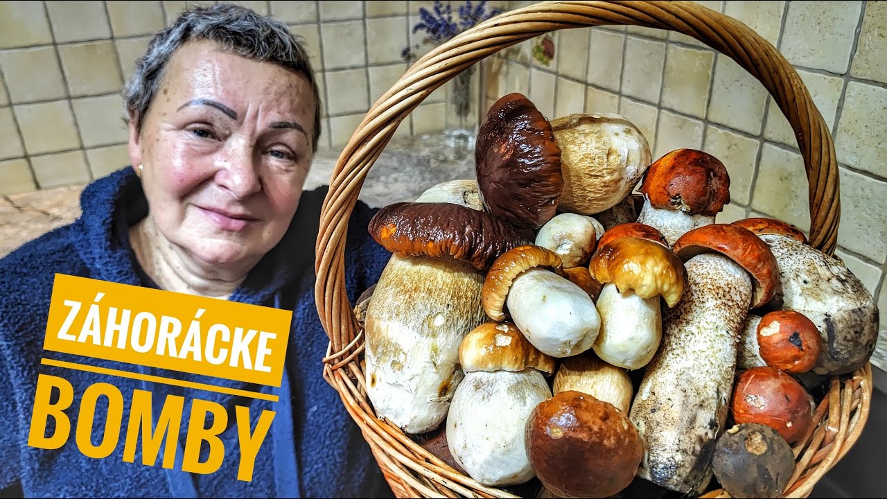 Huby Hriby Houby 13.11.23 | Novembrové hubárčenie na Záhorí dopadlo nad očakávania nahuby dubáky