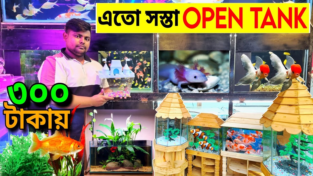 Aquarium Price In Bangladesh। Aquarium Fish Price In Mirpur। Aquarium Fish Price In Bangladesh