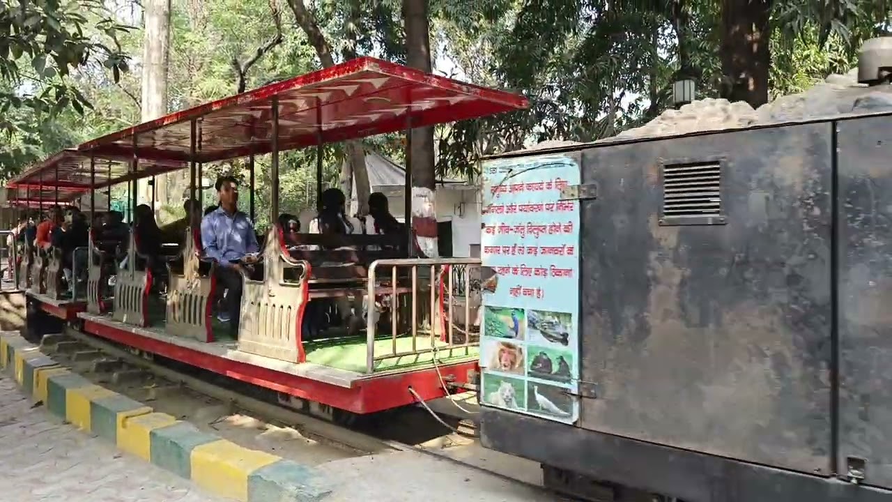 चिड़ियाघर की ट्रेन 