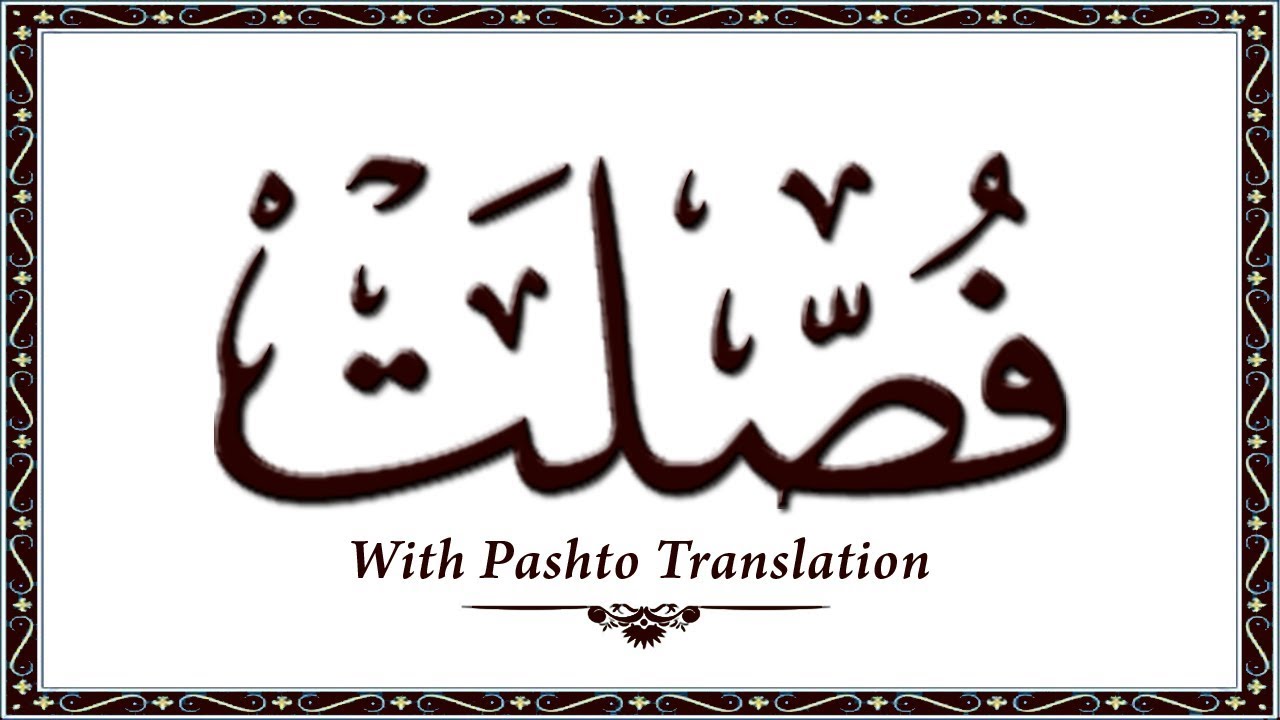 41 Surah Fussilat,Holy Quran Online - Quran With Pashto Translation,Pushto Quran - Wahid Ullah Khan