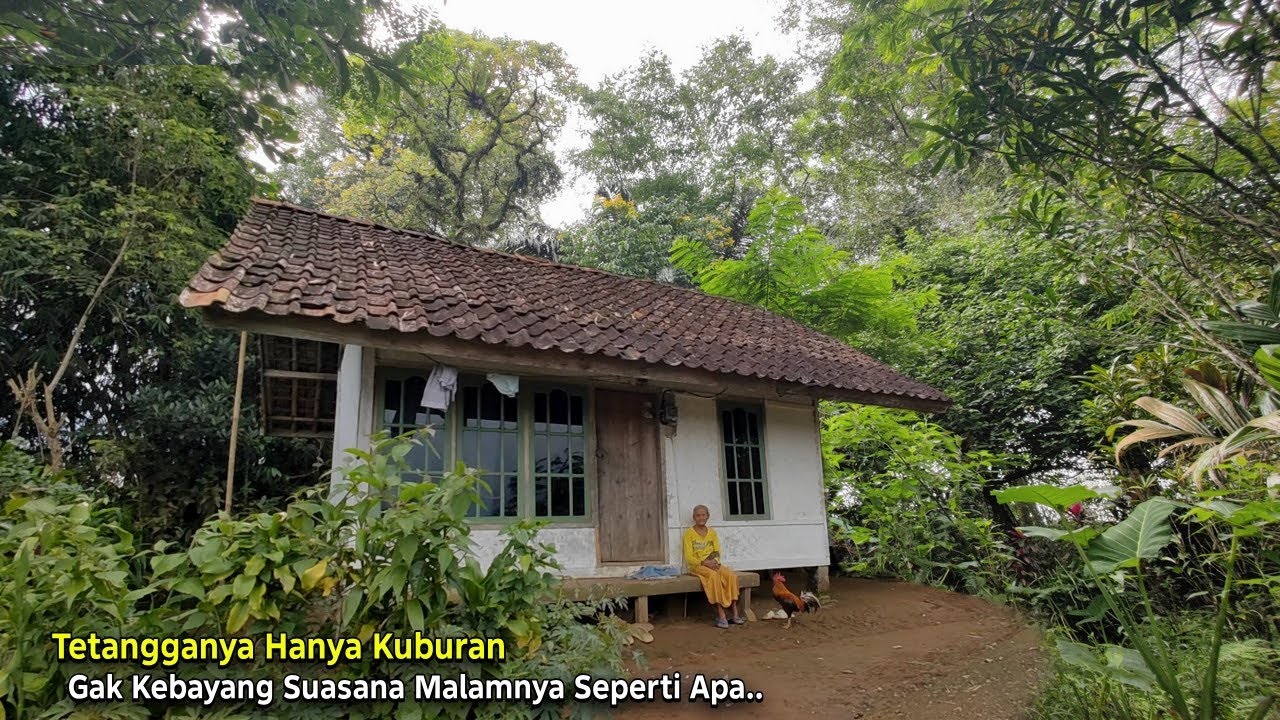 Kaget.. Jumpa Seorang Nenek Lansia Tinggal Menyendiri di Rumah Pinggir Hutan Dekat Kuburan