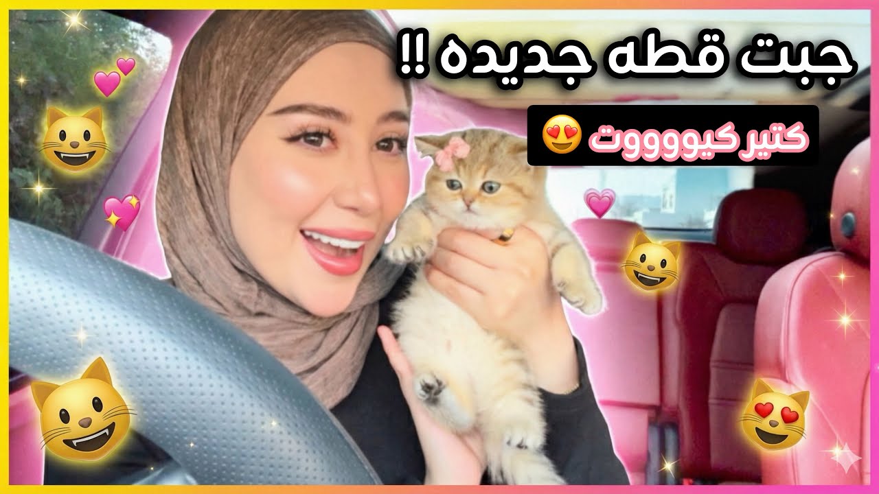 جبت قطة جديده !!! كيووووت ساعدوني اختارلها اسم !! 😻💖