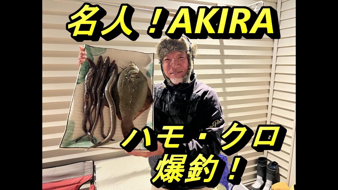 【北海道】苫小牧の入船公園でハモ爆釣！クロガシラもGET