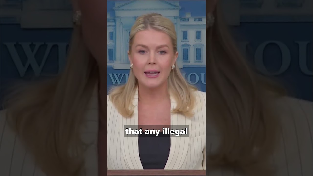 Leavitt responds to CBS News report saying only 14% of illegal aliens arrested are violent criminals