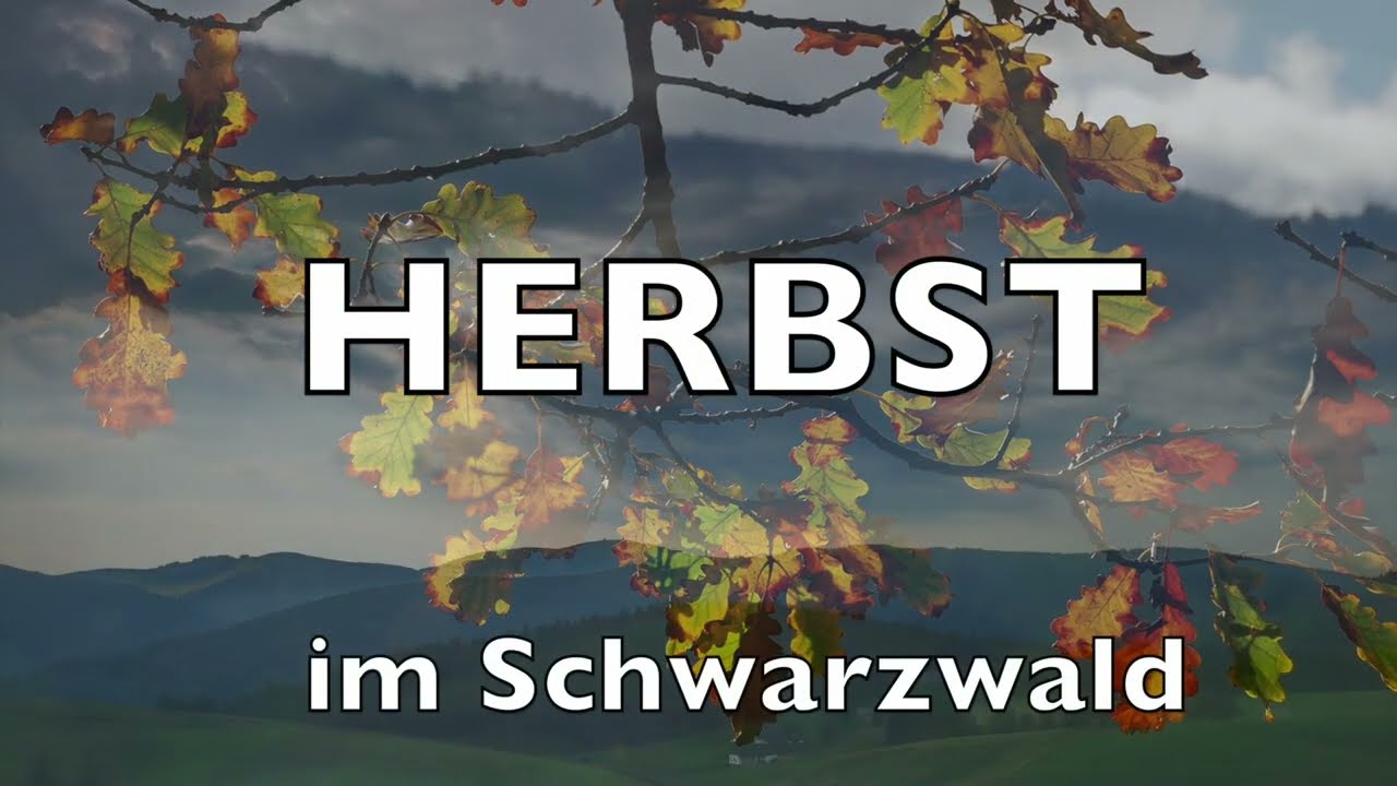 SCHWARZWALD - Herbst + Winter
