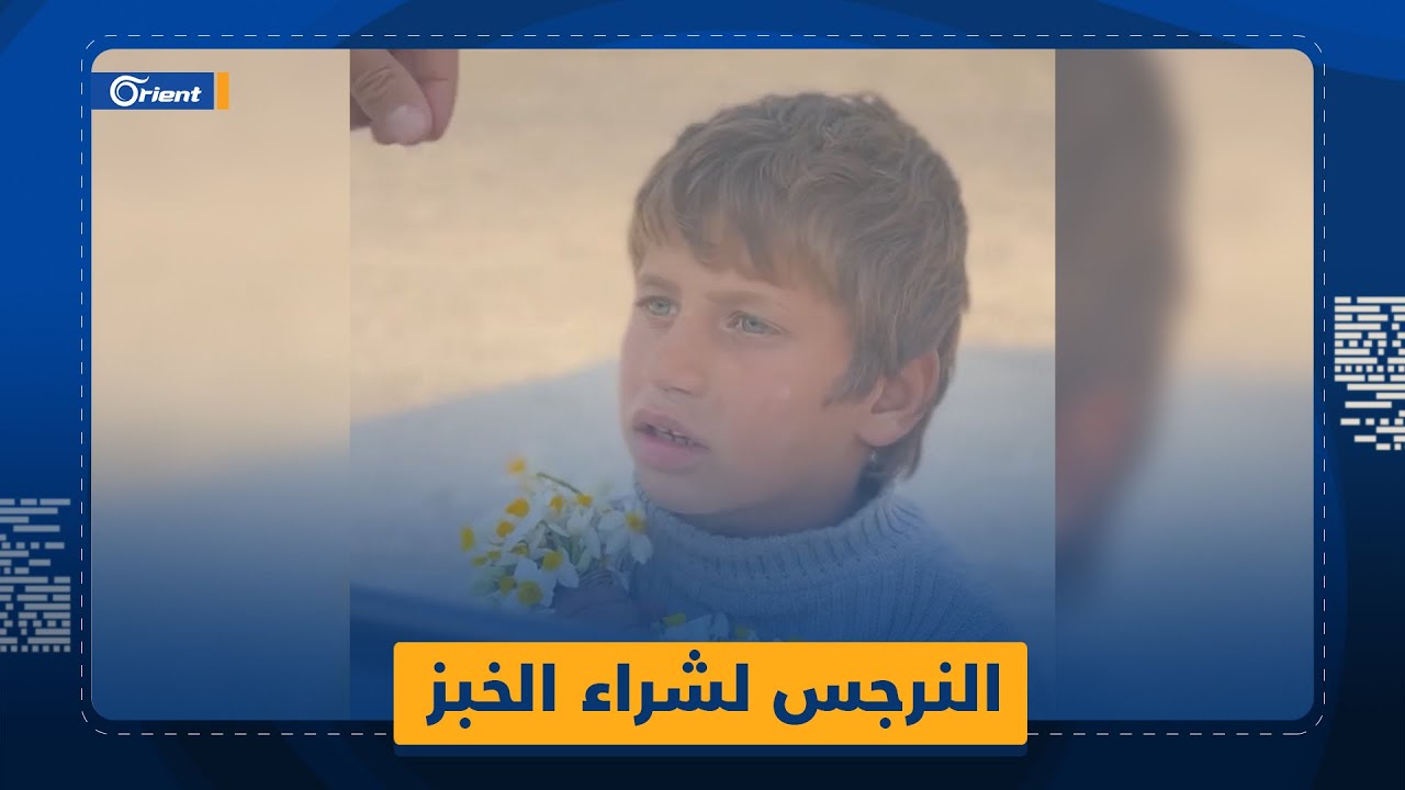 مرتعشاً من البرد.. طفل يبيع زهوراً جمعها إخوته من الجبل ليشتري بثمنها خبزاً