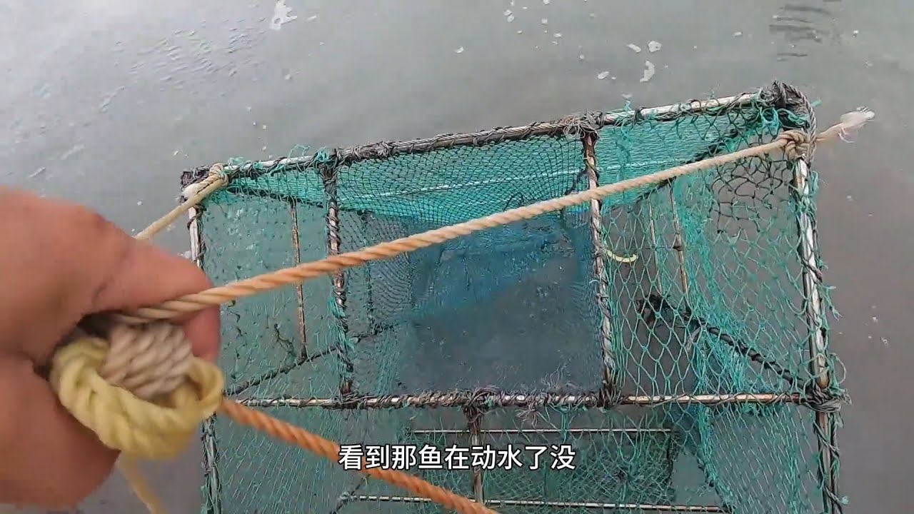 老四雨天收大铁笼，没想到抓到这么多好货，随便拿一条做菜都是极品