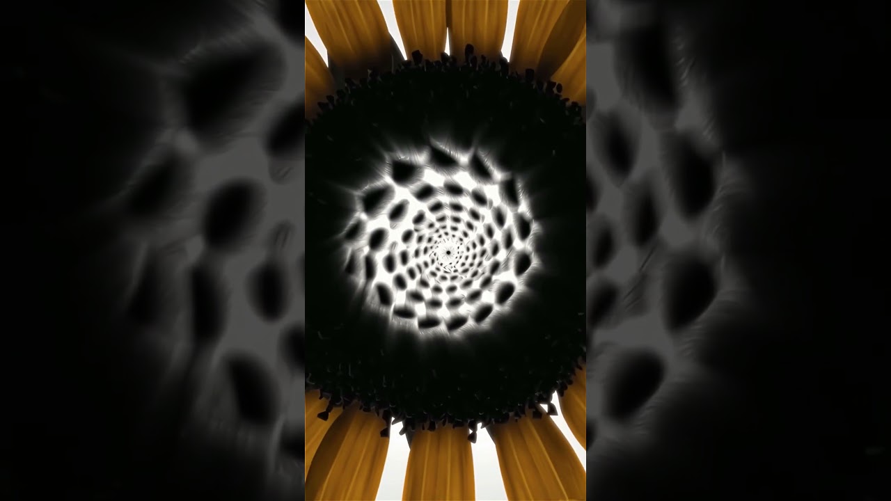 AI Infinite Zoom: The Sunflower Black Hole 🌻🕳️ 