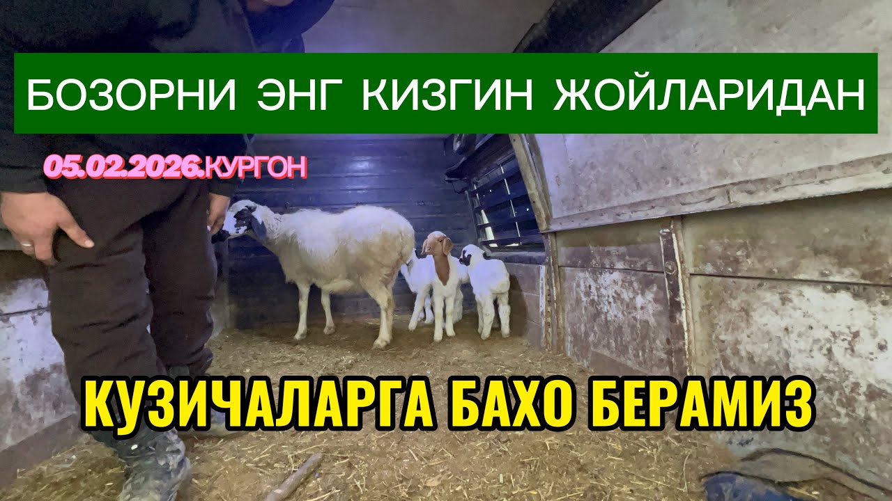 БУХОРО РОМЕТАН КУРГОН МОЛБОЗОРИ 