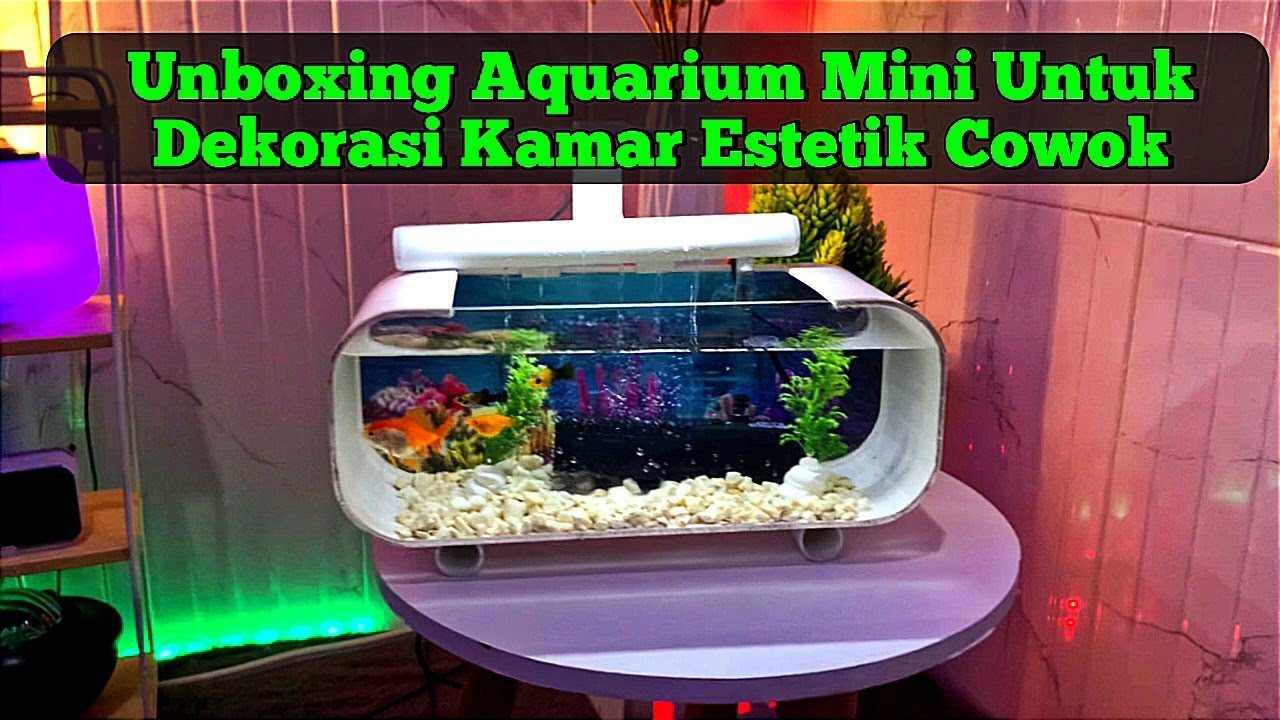 Unboxing Aquarium Mini Untuk Dekorasi Kamar Estetik Cowok