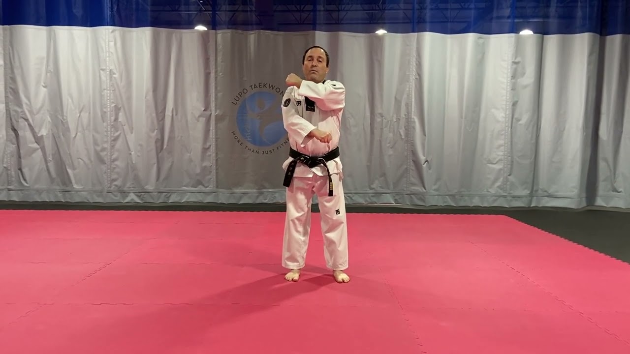Basic Form 1 (1st 8 Moves)