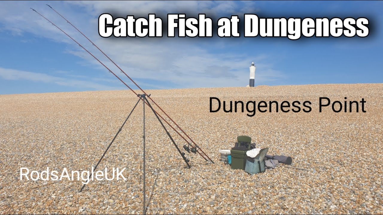 Catch fish at Dungeness: DUNGENESS POINT
