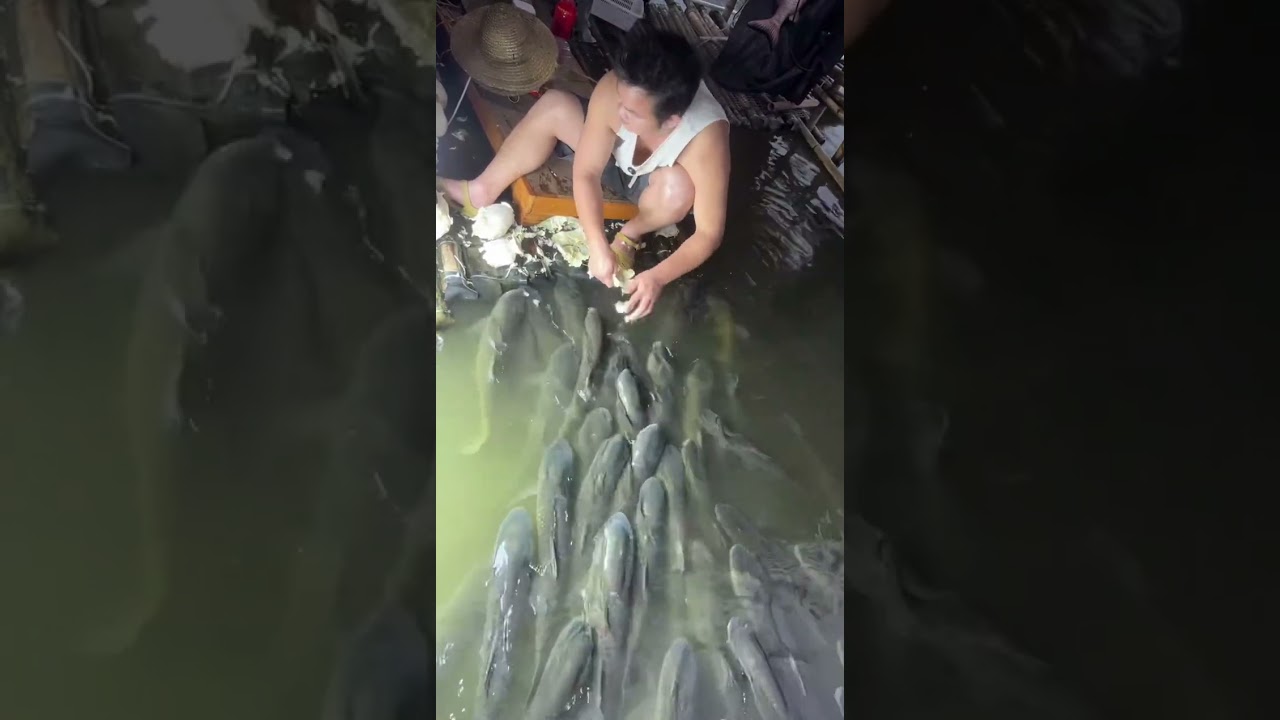 Chinese street food, street snacks 2026/03/02 18:18:53