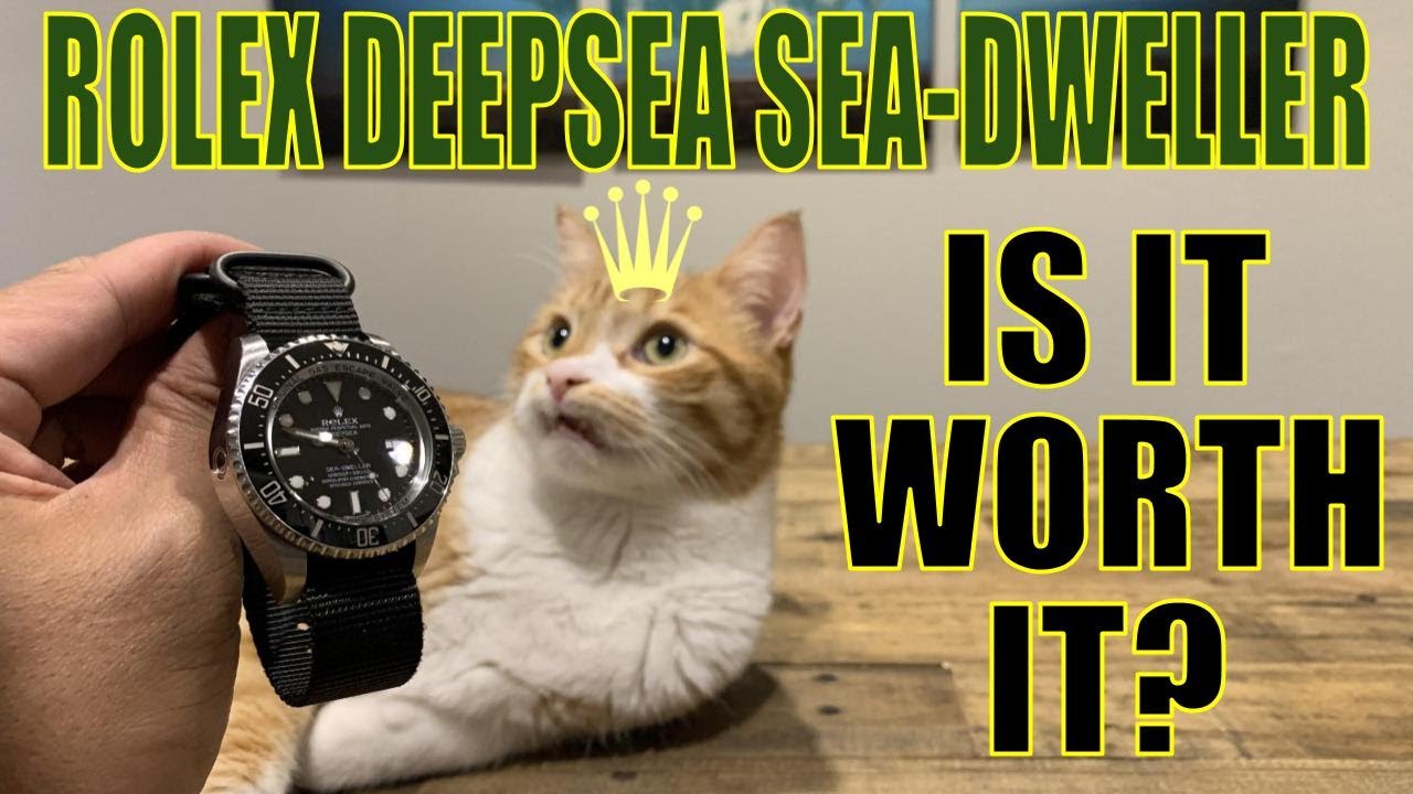 Rolex Deepsea Sea-Dweller 116660 LONG TERM REVIEW!