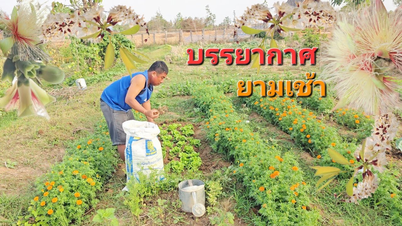 อากาศดี๊ดี.