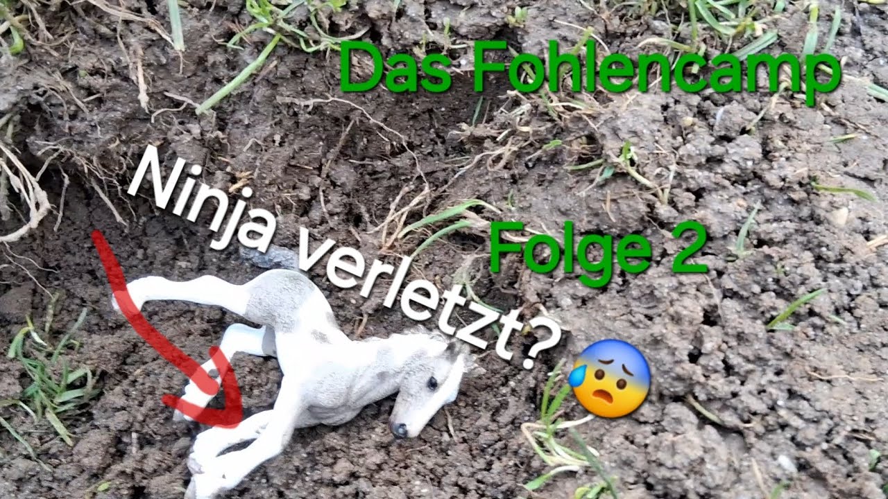 Das Fohlencamp Staffel 3| Folge 2|Ninja verletzt? 😦//Schleich Serie 
