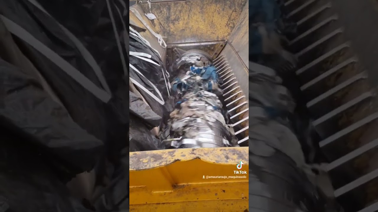 Tubarão TANA SHARK 🦈
