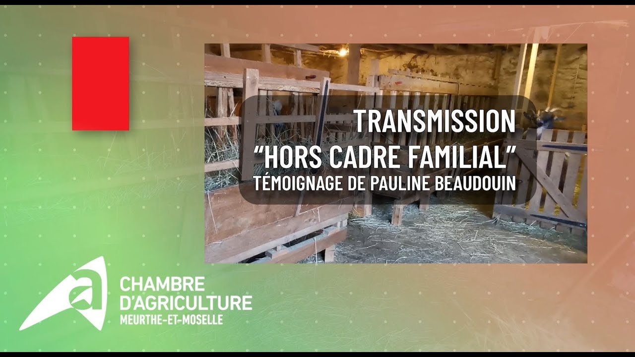 👩‍🌾 [TÉMOIGNAGE] Pauline BEAUDOUIN et son parcours à l'installation hors cadres familial !