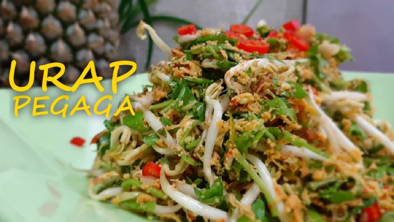 URAP PEGAGA FRESH GILER - KORANG PANGGIL APE?? |CARA MASAK-RJnina