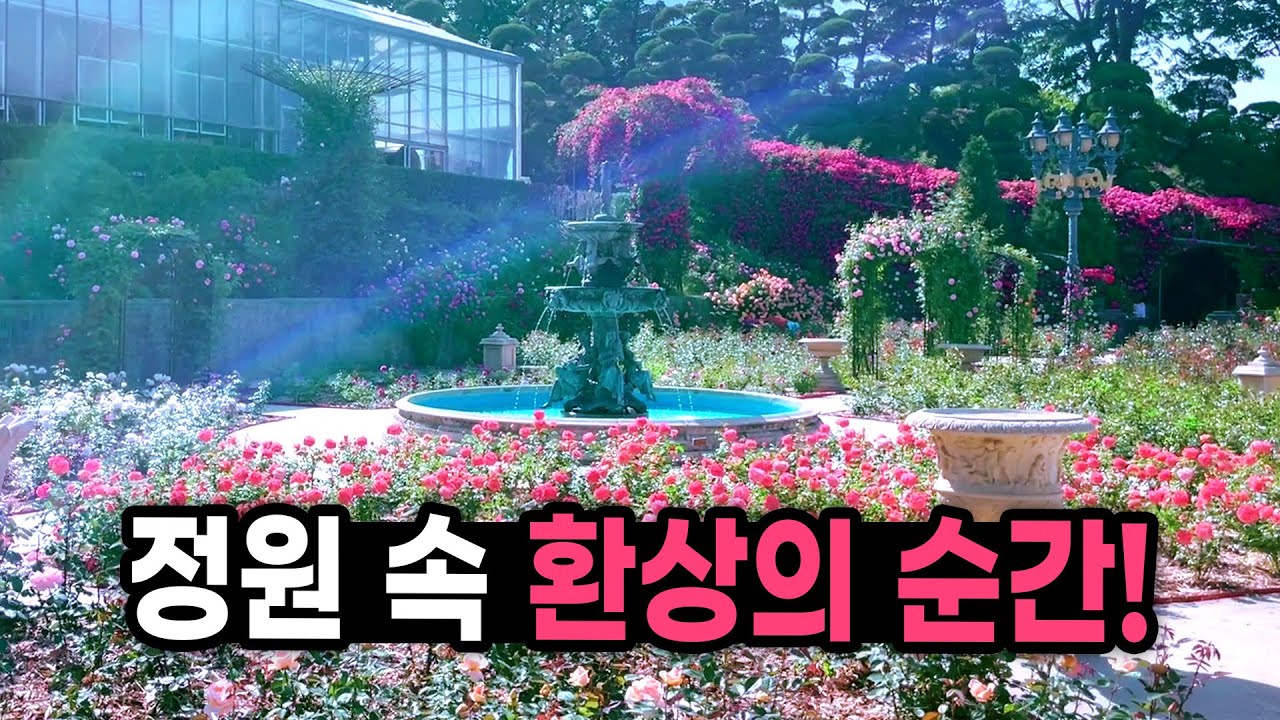 정원 속 포토존 매력에 풍덩~ 사방이 아름답네요~