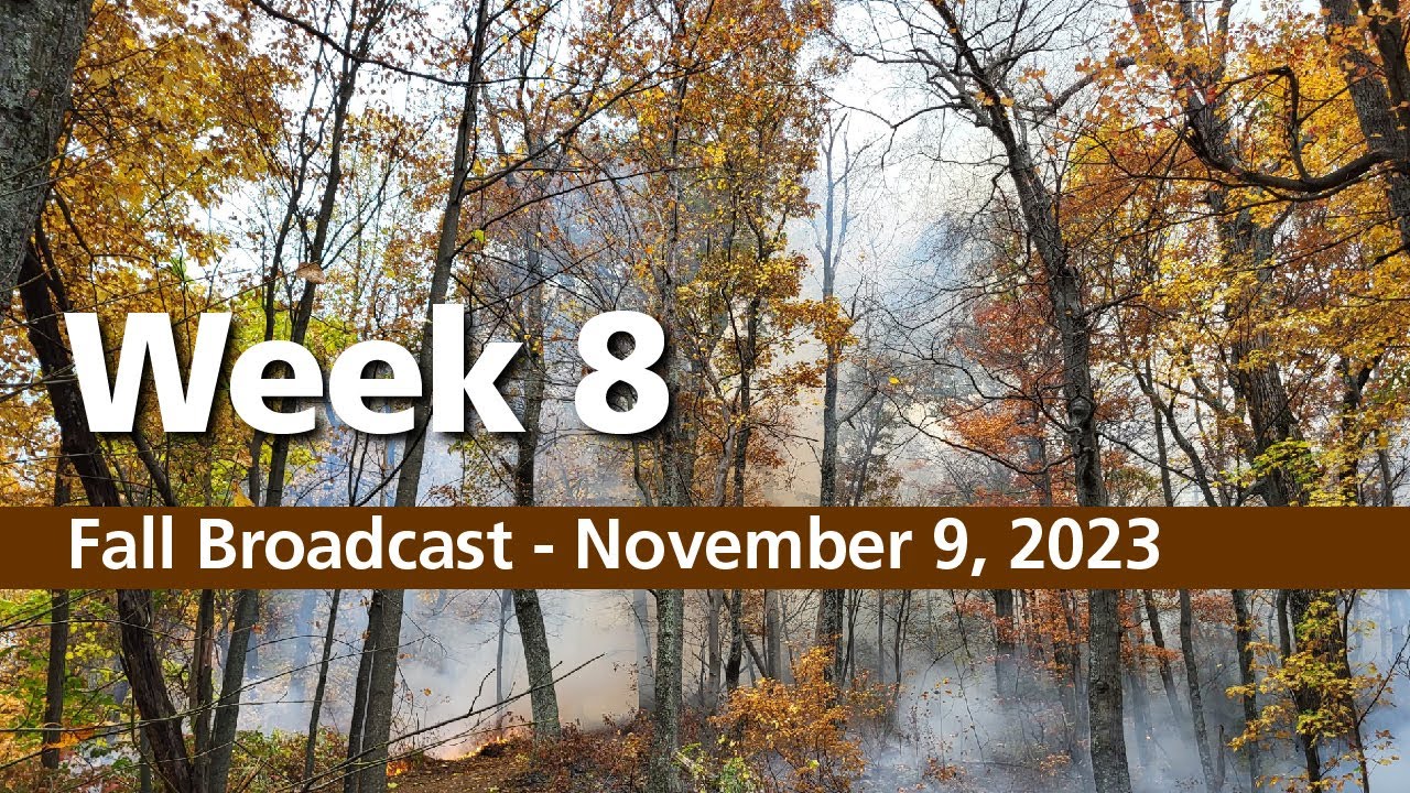 Fall Broadcast - Week 8