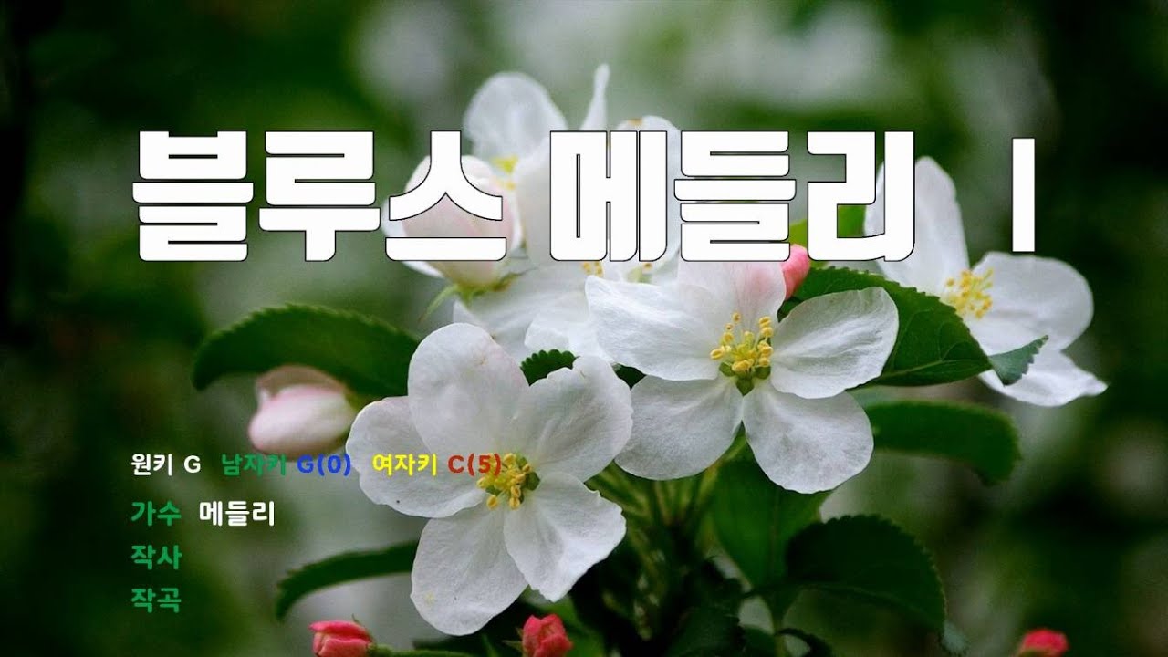 [은성 반주기] 블루스메들리Ⅰ - 메들리