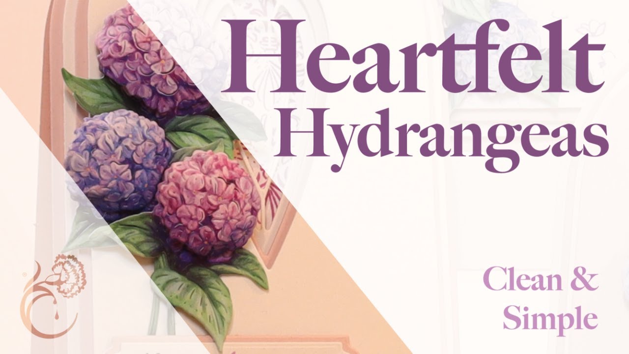 Clean & Simple, Heartfelt Hydrangeas - Launch Show