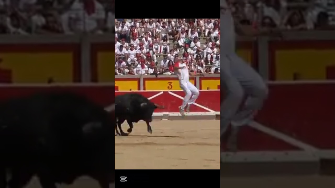 Bull 🐂 Riding|Bull Jumping|Rodeo Sports #bullriding#rodeo #cowboys #animals #bullrider #bull #shorts