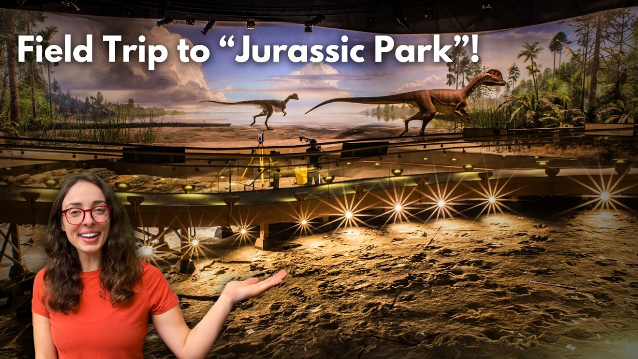Field Trip to 'Connecticut's Jurassic Park' (Dinosaur State Park) - What Participants Can Expect