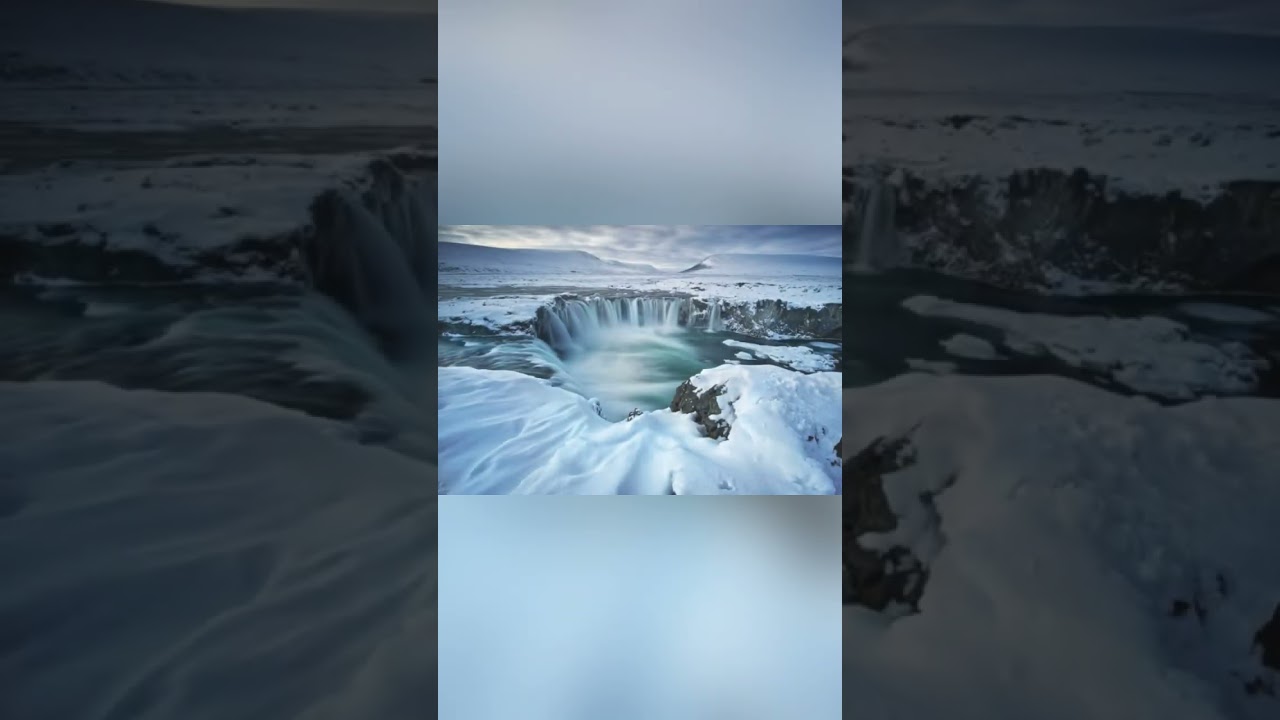 O pa&iacute;s que n&atilde;o tem barata e nem mosquito!