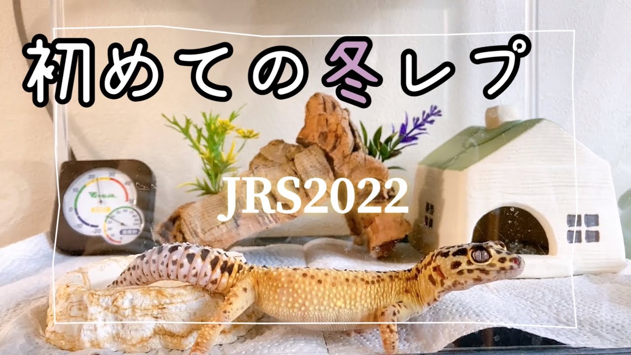 初めて冬レプに行ってきました！JRS2022