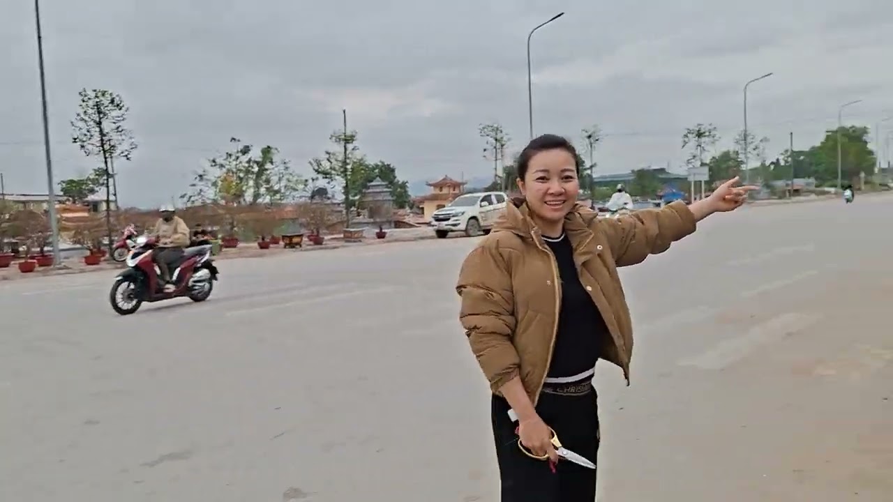 Co chu ban quat.canh cho voi