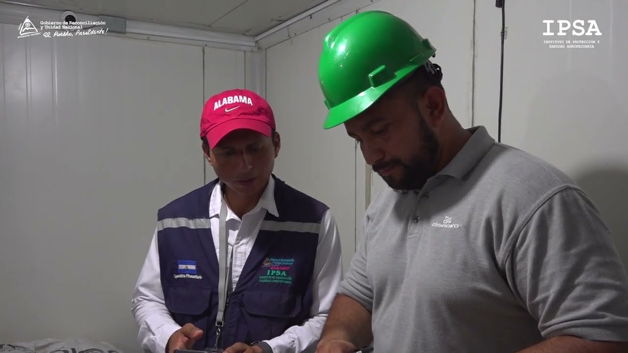 El IPSA: Garantizando la Calidad y Seguridad de las Semillas en Nicaragua 🌱🔍
